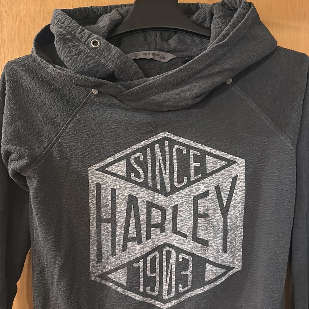 Harley Davidson 1903 Motorcycles Double Hooded Sweatshirt Hoodie Gray Small - Picture 2 of 14